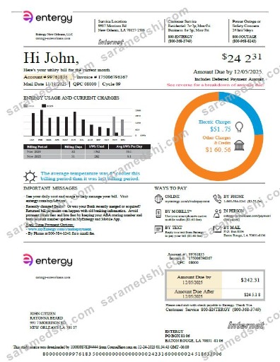 USA Entergy utility bill template in Word and PDF formats, version 2